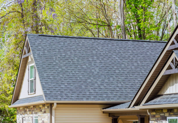 Siding in Palm Harbor, FL